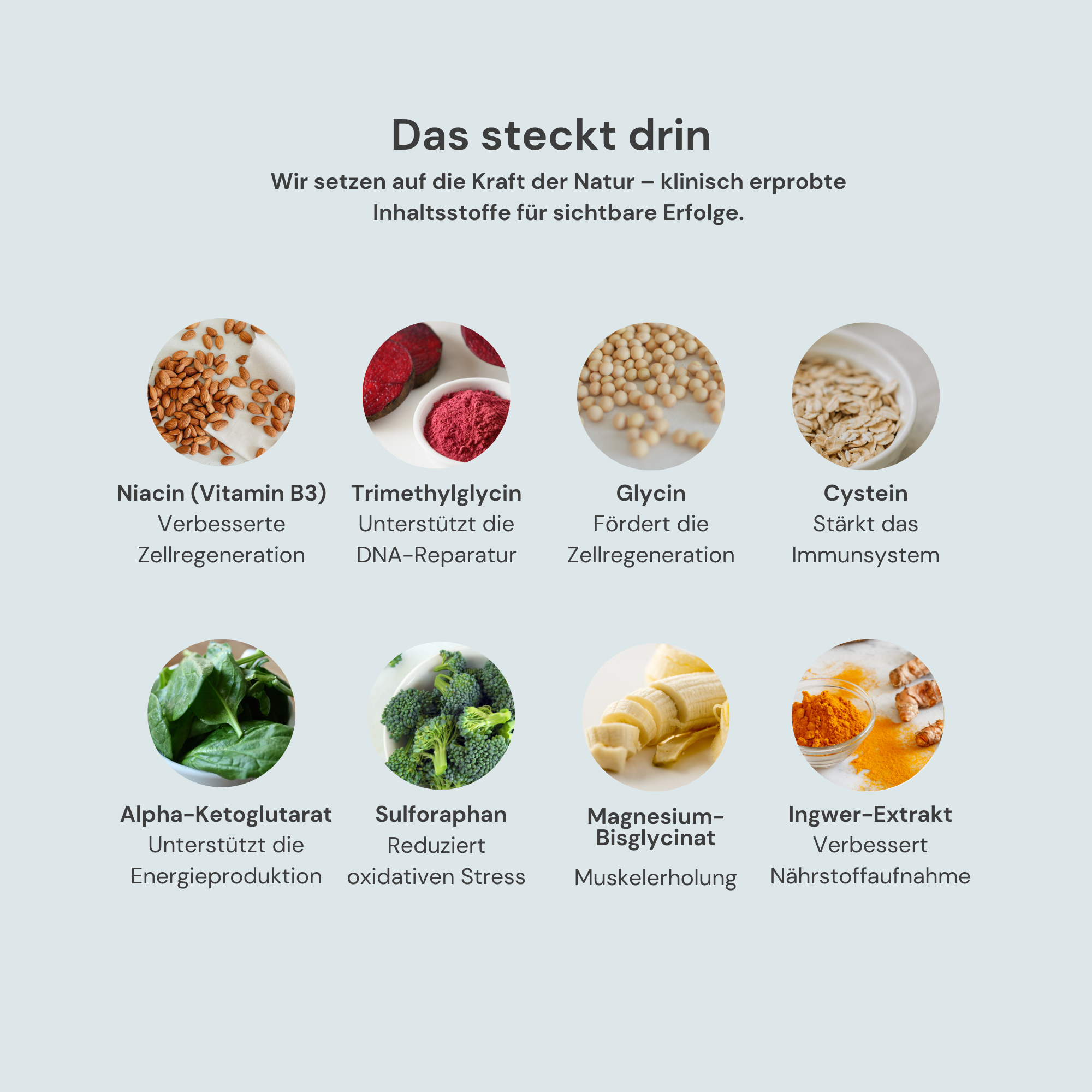 Ultimate Longevity Bundle | All-in-One Supplement